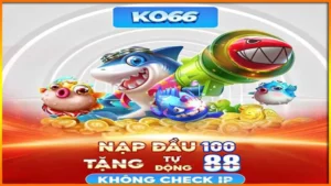 Ko66 Nap Dau
